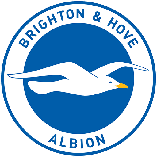 Brighton & Hove Albion badge